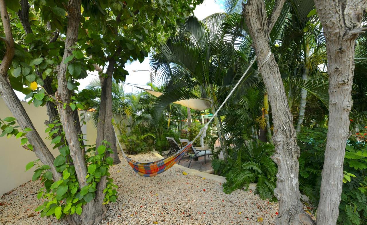 Wonders Boutique Hotel Oranjestad Exteriör bild